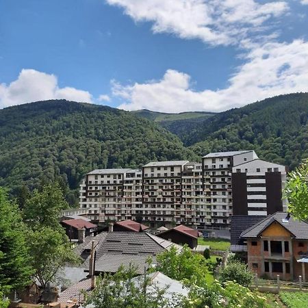 Апартаменти Ioana'S Apartament Сіная Екстер'єр фото