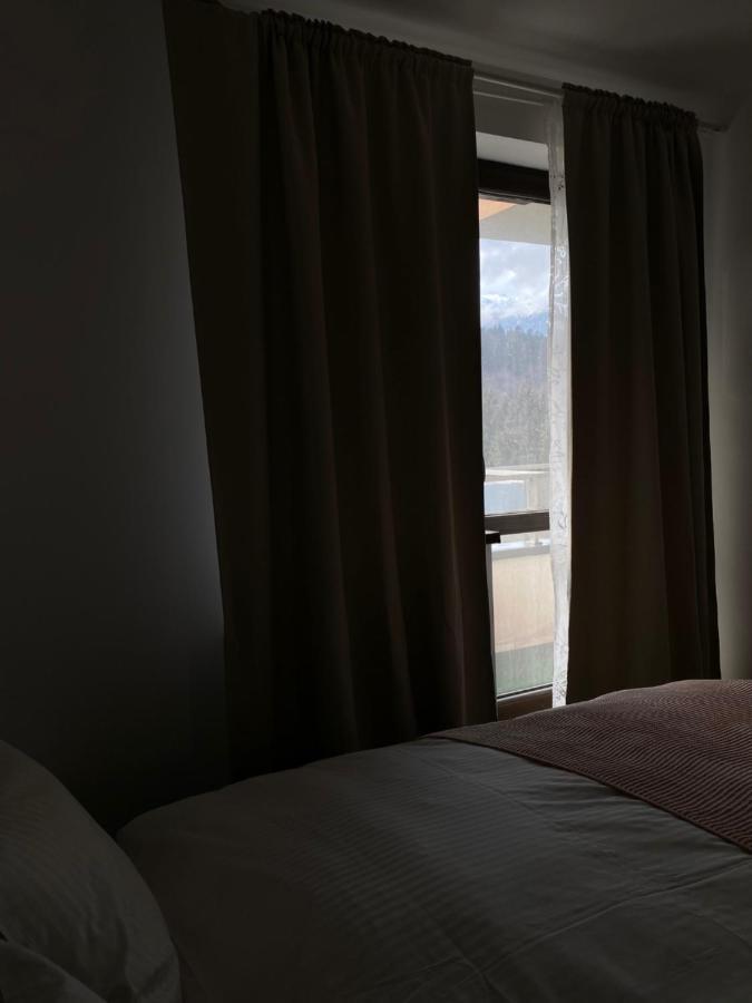 Апартаменти Ioana'S Apartament Сіная Екстер'єр фото