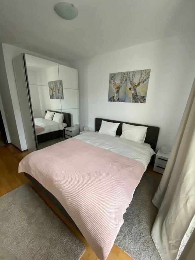 Апартаменти Ioana'S Apartament Сіная Екстер'єр фото