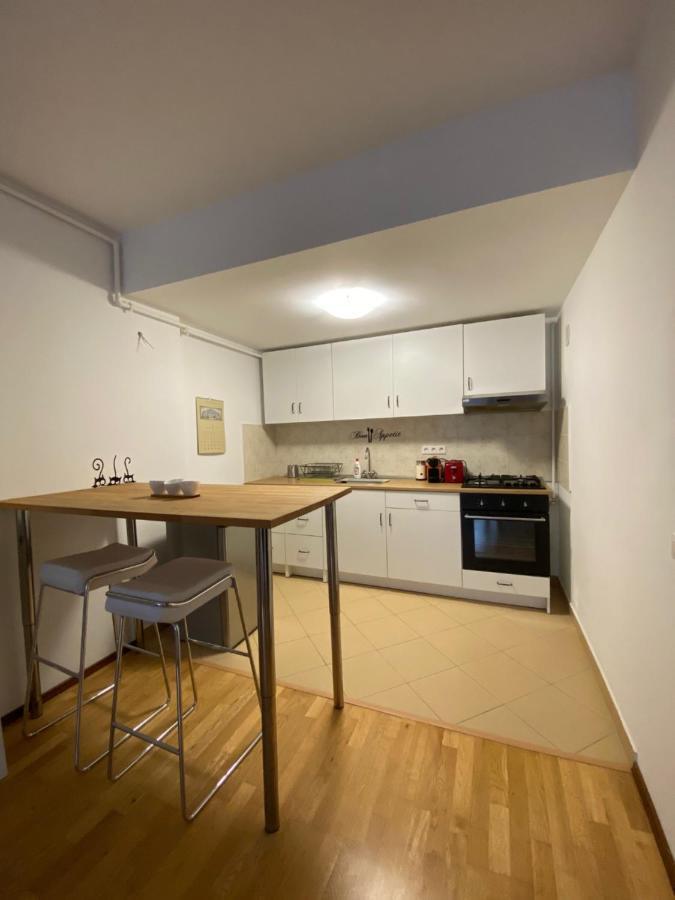 Апартаменти Ioana'S Apartament Сіная Екстер'єр фото