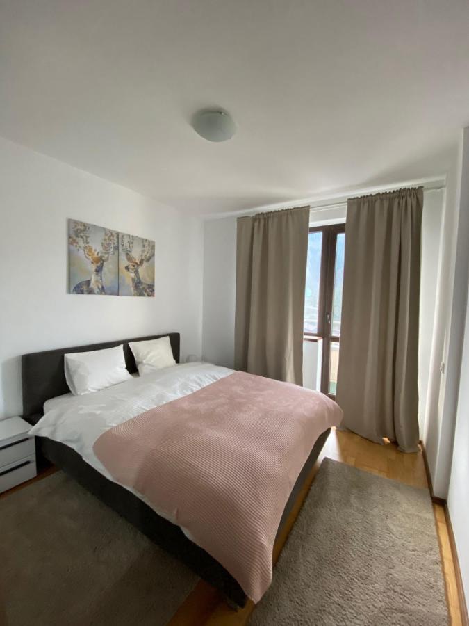 Апартаменти Ioana'S Apartament Сіная Екстер'єр фото